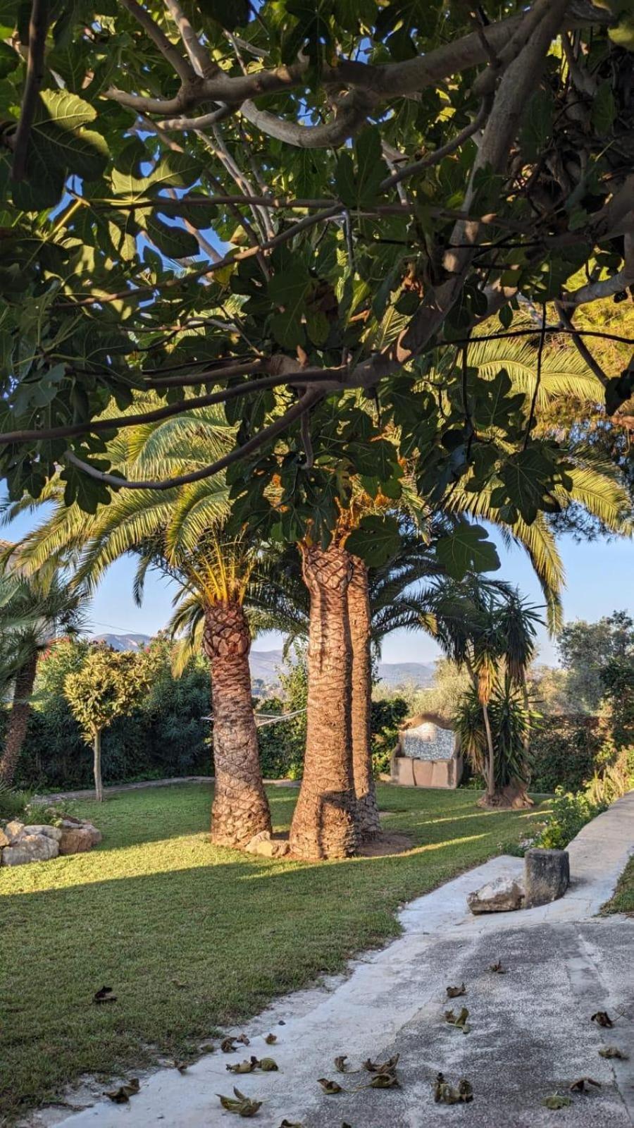 Ca Tosca Villa Jávea Exterior photo